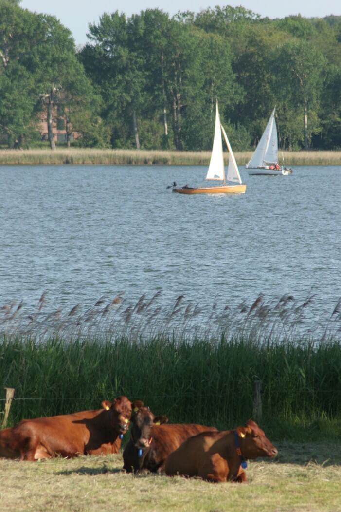 Die Schlei Wassersport 2
