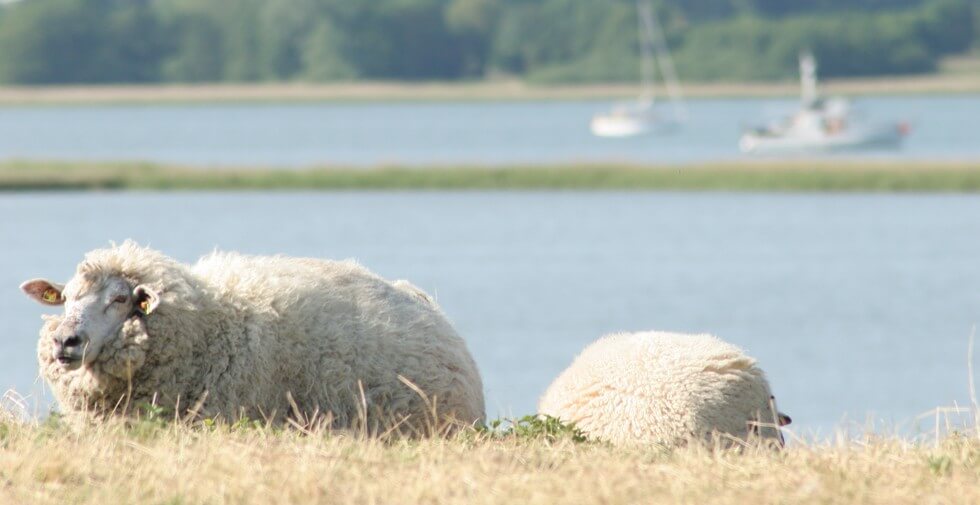 Natur 1